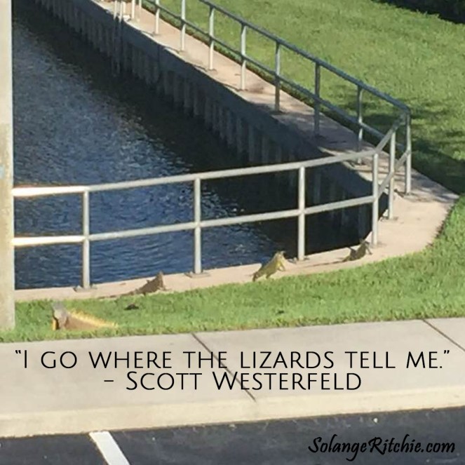 67093999_10219322740602572_6922409068267044864_n