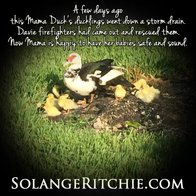 67158290_10219330346152706_6549215619001090048_n