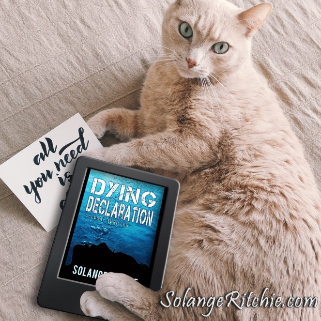 adorable-animal-animal-photography-982865