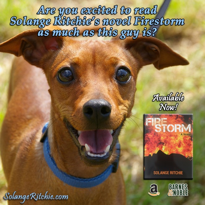 animal-animal-photography-canine-60913