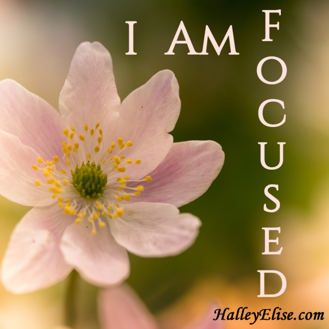 I Am Focused