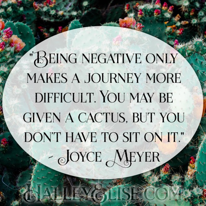 photo-of-orange-and-pink-petaled-flowers-on-cactus-plants-1253718